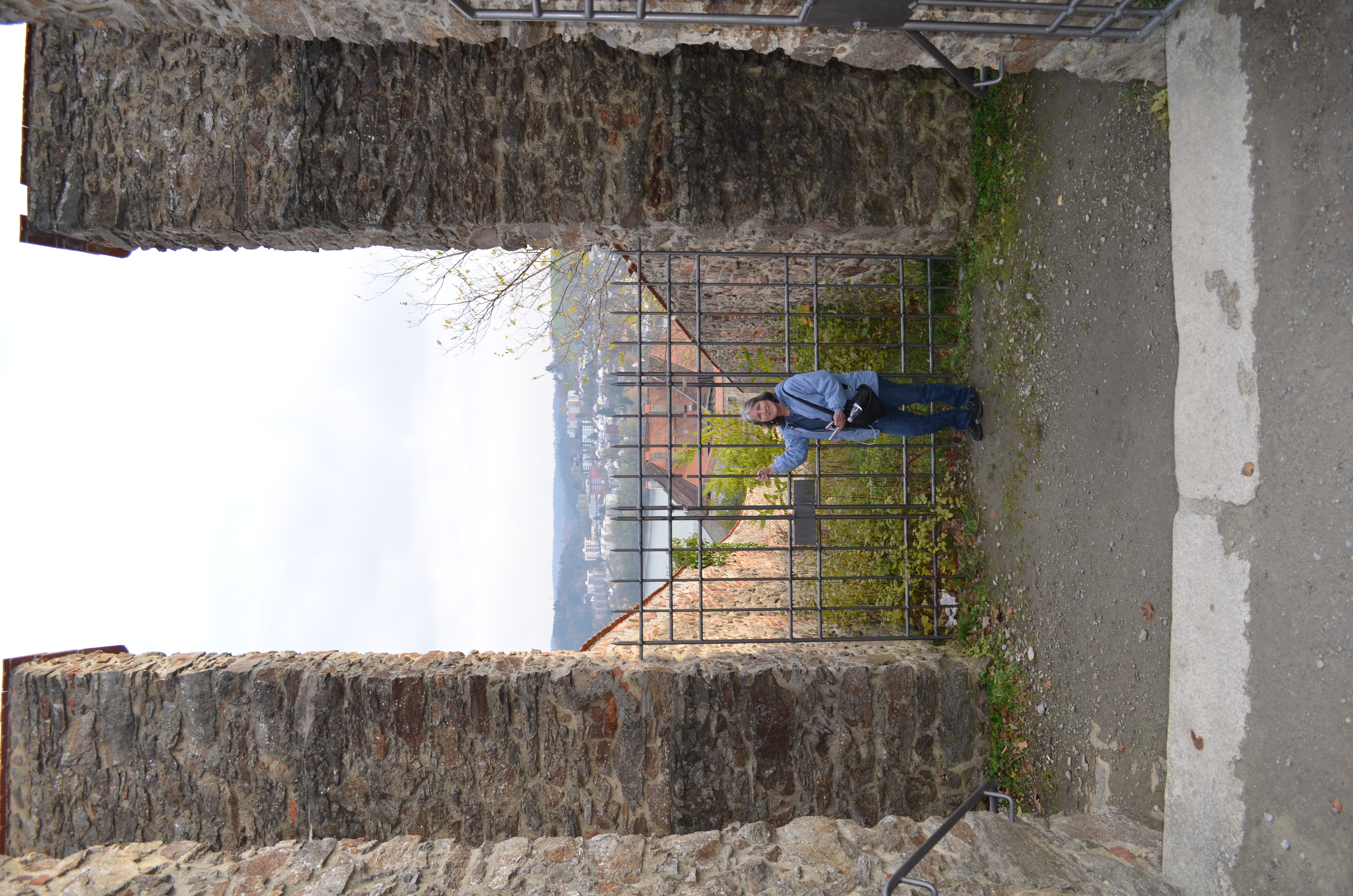 ./2017/19 - Viking Lif/04 - Passau, Germany/DSC_10046.JPG